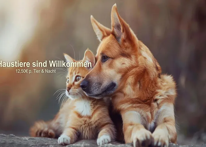 Ferien RennsteigblickFerienwohnung